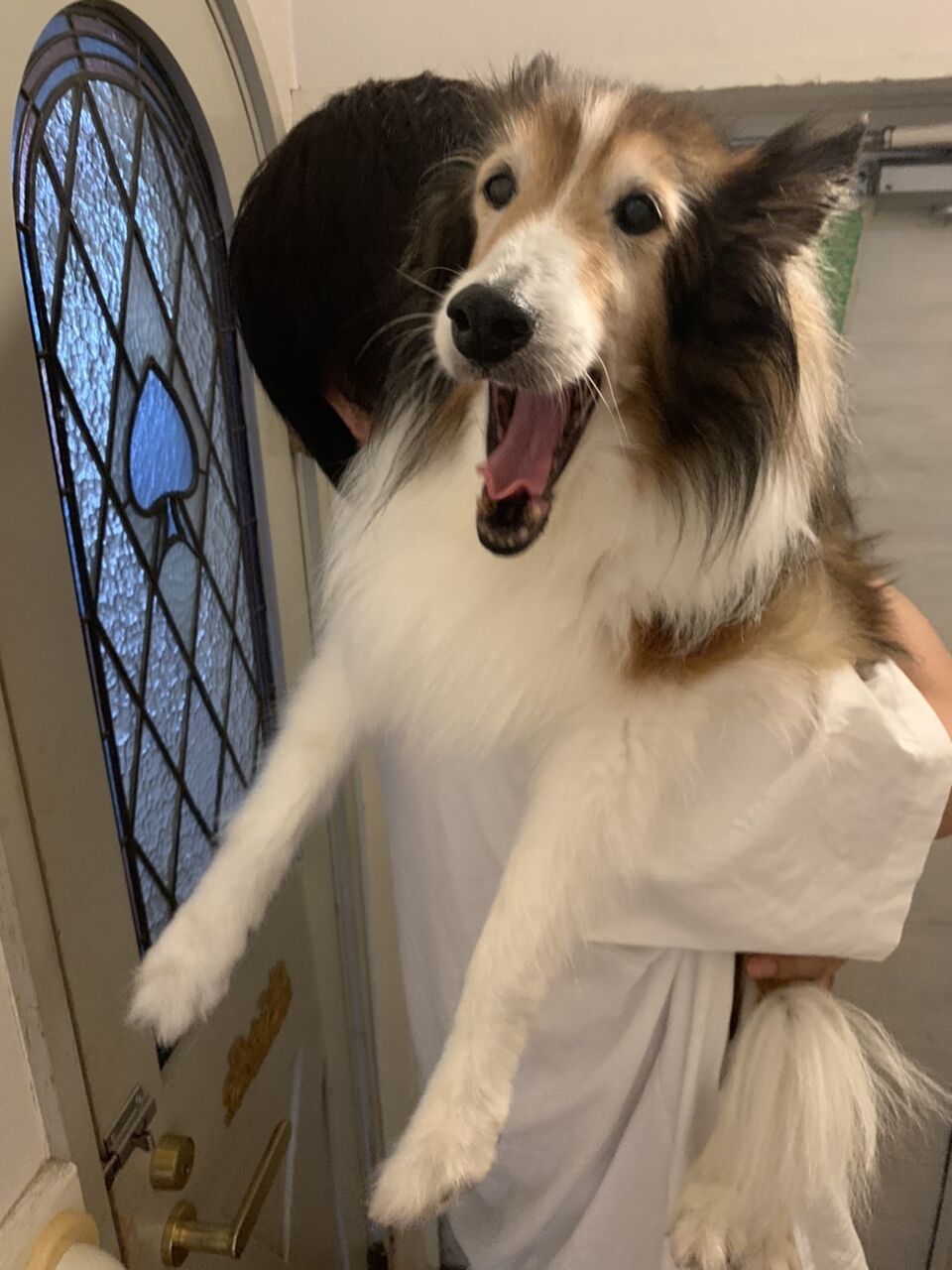 A857899B-5E3B-41EB-A3D1-0BE9D5FDB34E