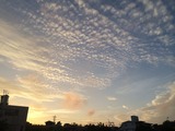 d188014a.jpg