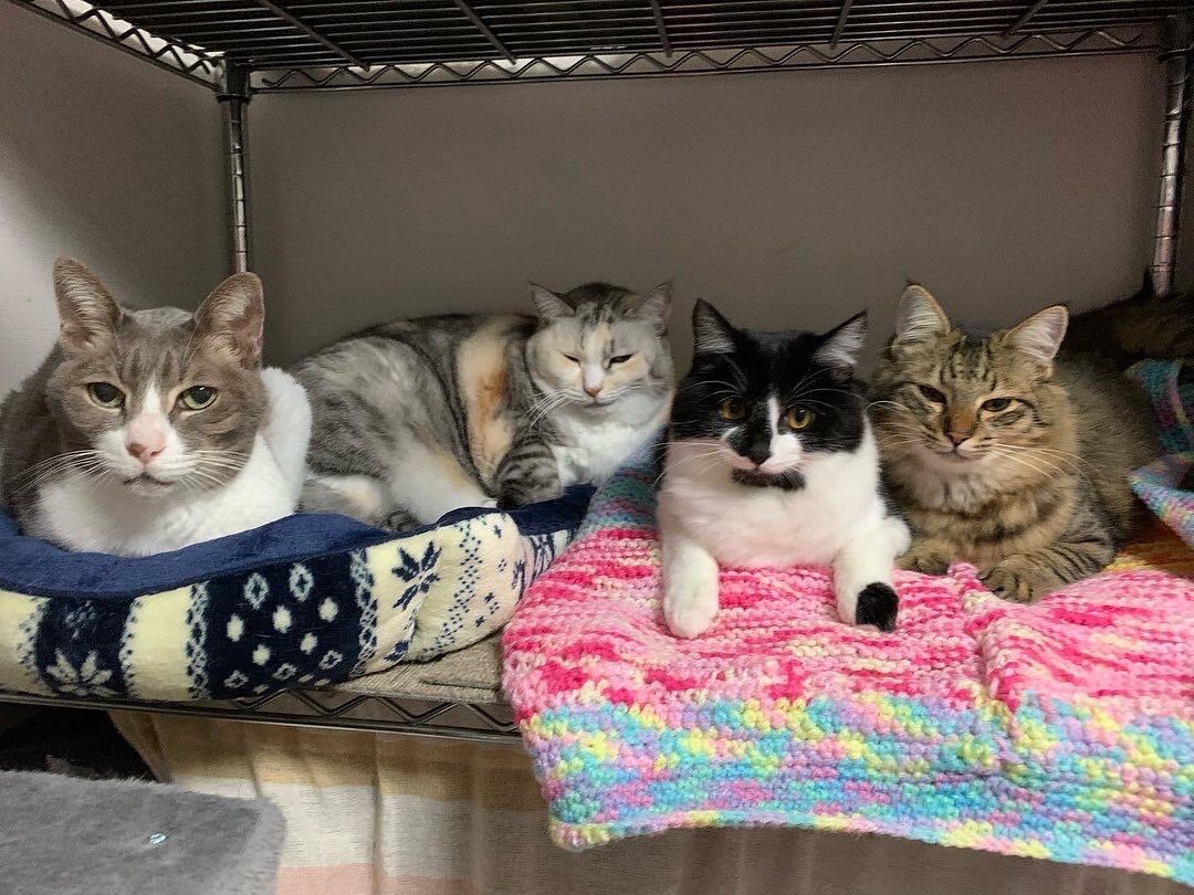 BF4FAB7D-D741-40B7-87C7-C33F444BADC0