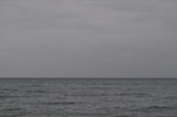 daae8a54.jpg
