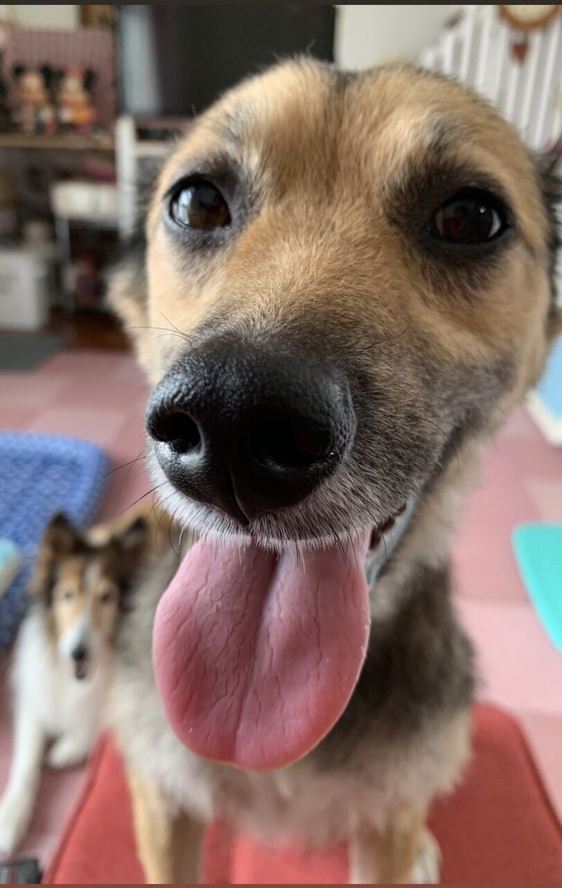 DD85C213-4E74-483F-A429-84C27367C07A