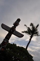 f1f0539b.jpg