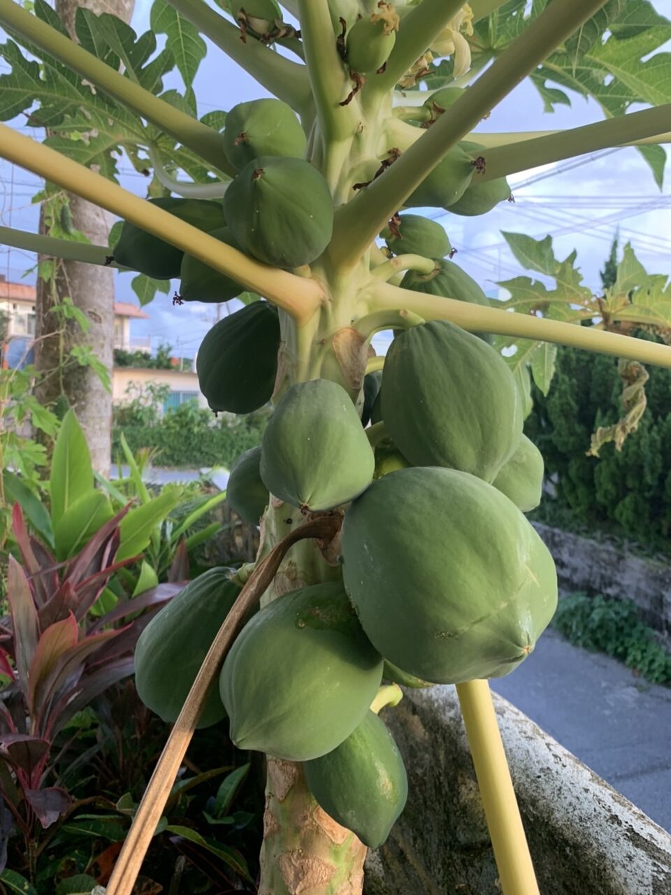 6DF18FB0-CE8C-4333-9DCA-0CCF23077B60