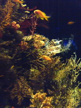 226e2739.jpg