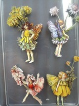 IMG_20130824_152943647