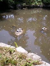 0cc43841.jpg