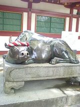 d8abd16c.jpg