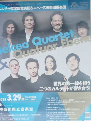 IMG20250329143839_20250329143943