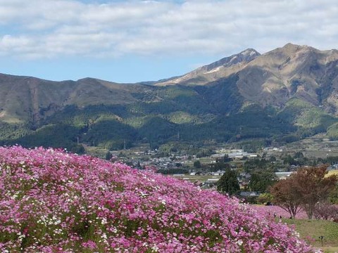 IMG20231029143456_20231030000612