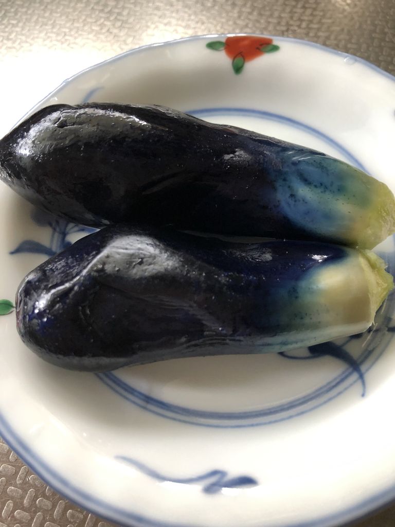 ナスその後 そしてナナオ みなとまち13番地 ナスその後 そしてナナオ みなとまち13番地