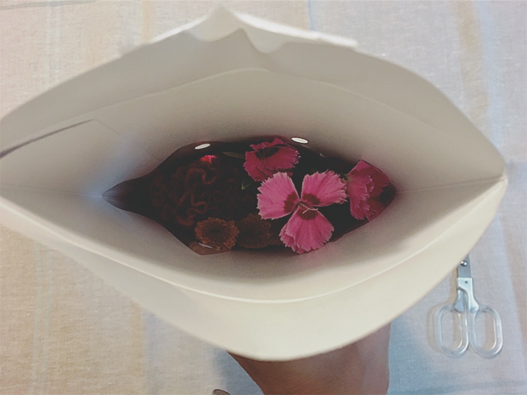 f:id:yukiko_tea:20161023125413j:plain