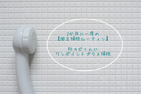 【汚画像あり】２か月に１度の掃除ルーティン！今回のピンポイント掃除は？