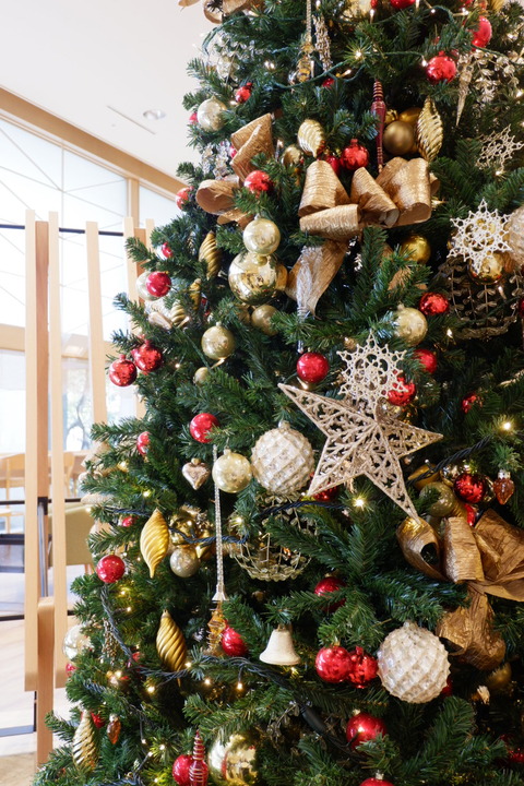 43CF5C18-B23E-4D41-9DB1-FDE4535CA65D