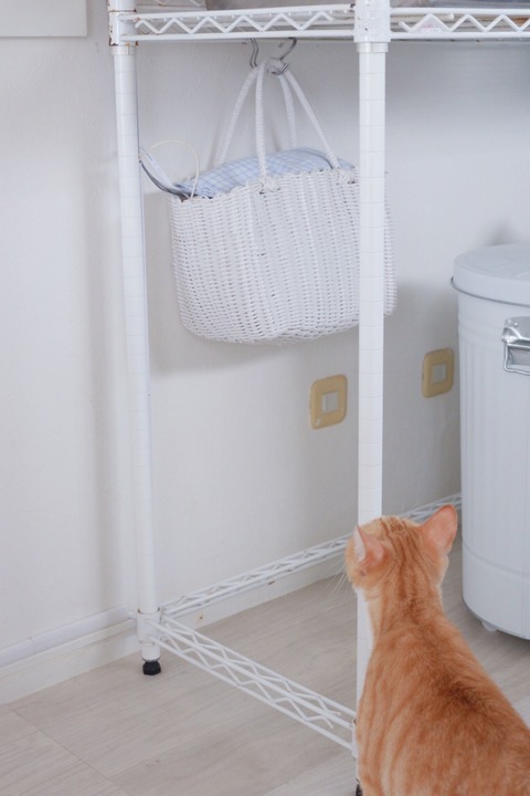 BCE2E6E2-8325-4313-9121-14E1BC645208