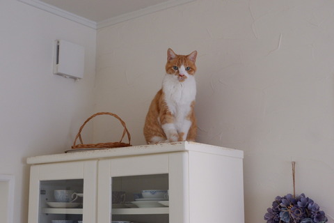 D3640F3A-9856-4C5B-BADD-C133EC3BD22D