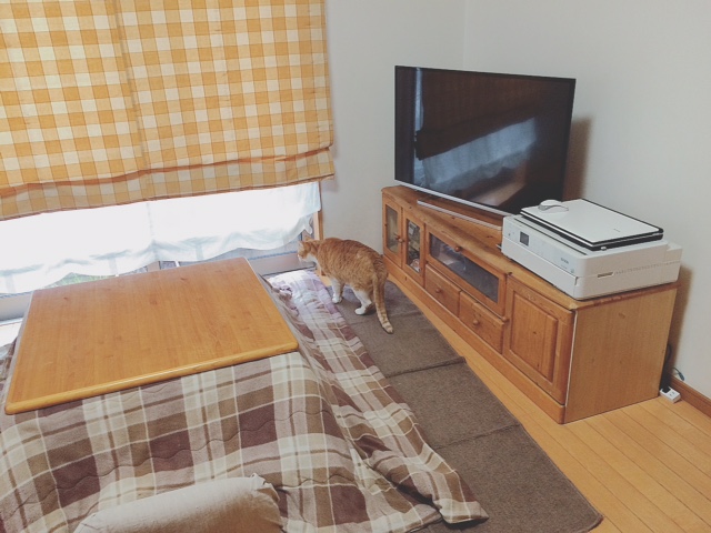 f:id:yukiko_tea:20160311182453j:plain f:id:yukiko_tea:20160311182453j:plain