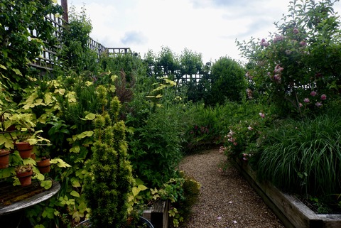 32449FE2-9FFE-45D2-8E75-2728395DA605_1_201_a