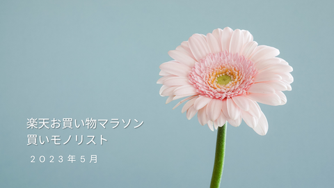 2022年8月 楽天お買い物マラソン 買いモノリスト (1280 × 720 px)のコピーのコピーのコピー (10)