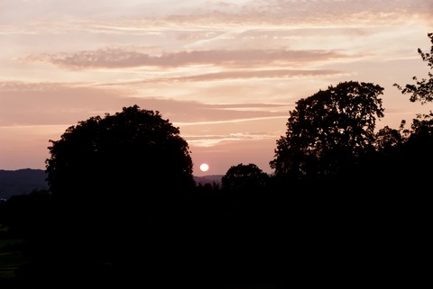 0B80EC31-6DD8-497A-9E51-FEE763E9BB39_1_201_a