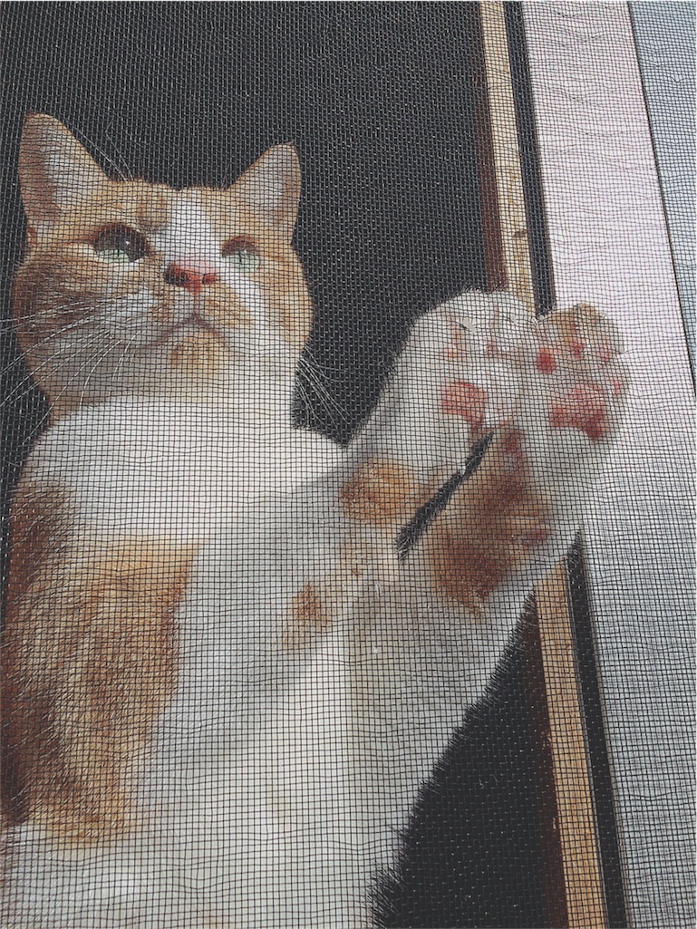 f:id:yukiko_tea:20160918080000j:image f:id:yukiko_tea:20160918080000j:image