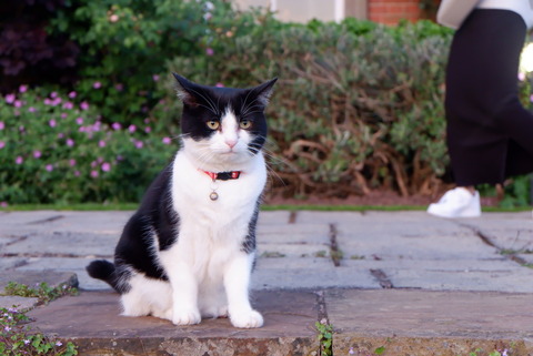 1674F80B-6AF9-41D7-B25C-A2A81E564DAB_1_105_c