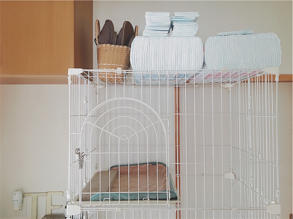 f:id:yukiko_tea:20160521071910j:image