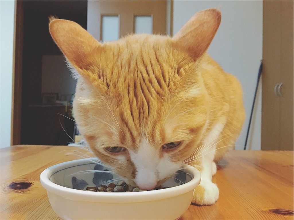 f:id:yukiko_tea:20160619102233j:image