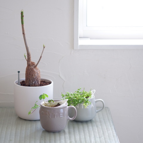 3AE0F31D-EEFF-40E9-A9D7-CDC7B2A547D9