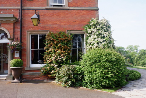 A3122B05-814C-4370-A466-8CF06736E9EC_1_105_c