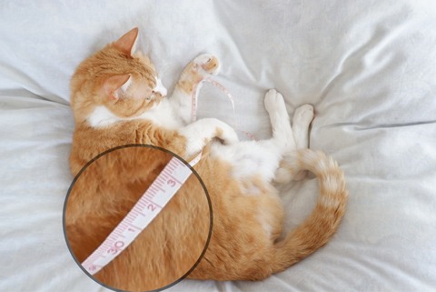 FullSizeRender