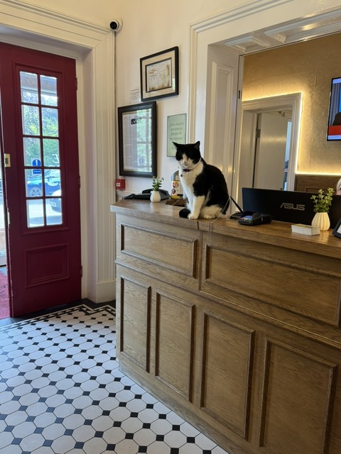 912830D7-1391-4320-AC85-8C49E85C72FF_1_105_c