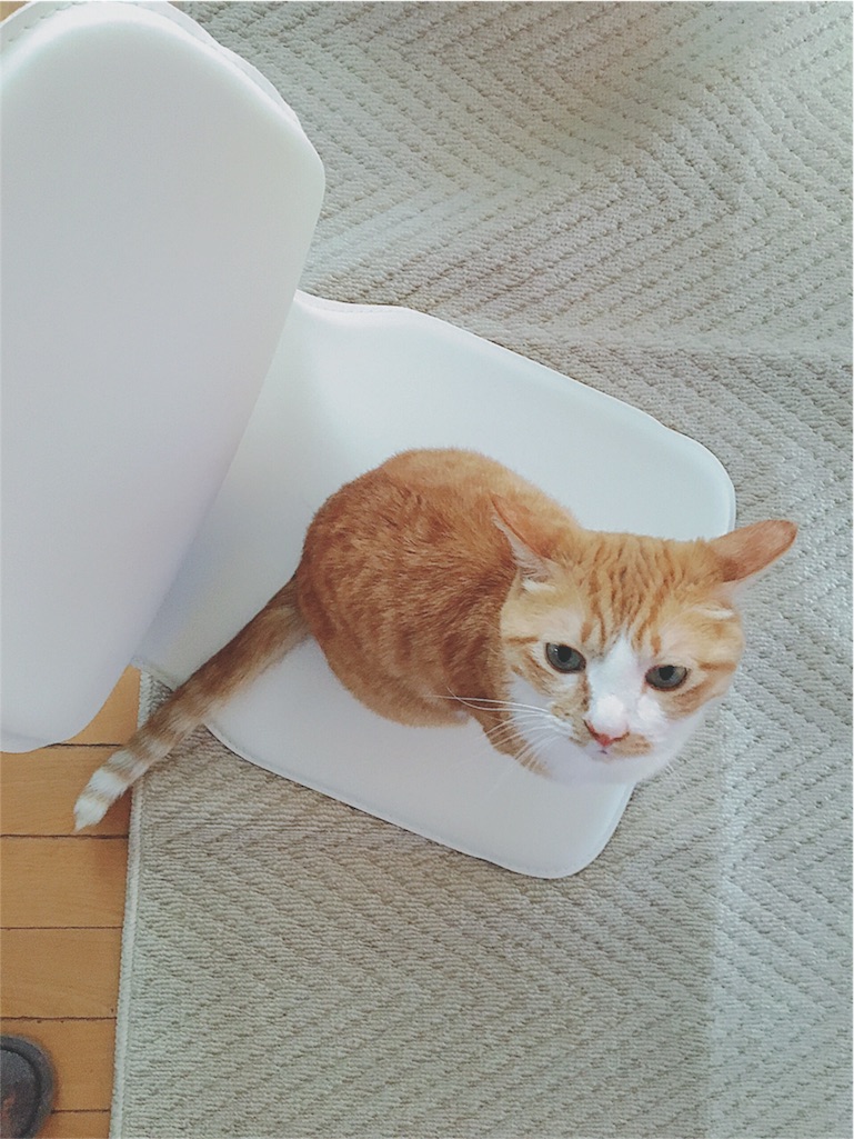 f:id:yukiko_tea:20160605125702j:image