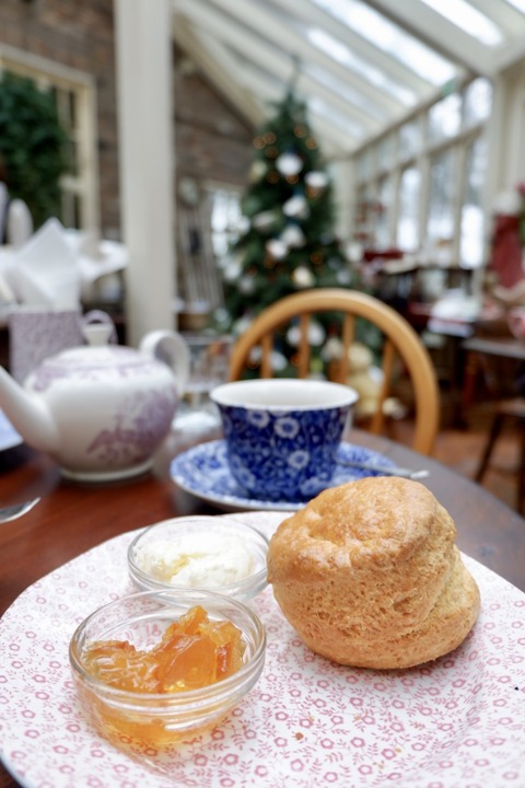 8E702B60-45A8-4D74-848F-6472AEFAE6C1_1_201_a