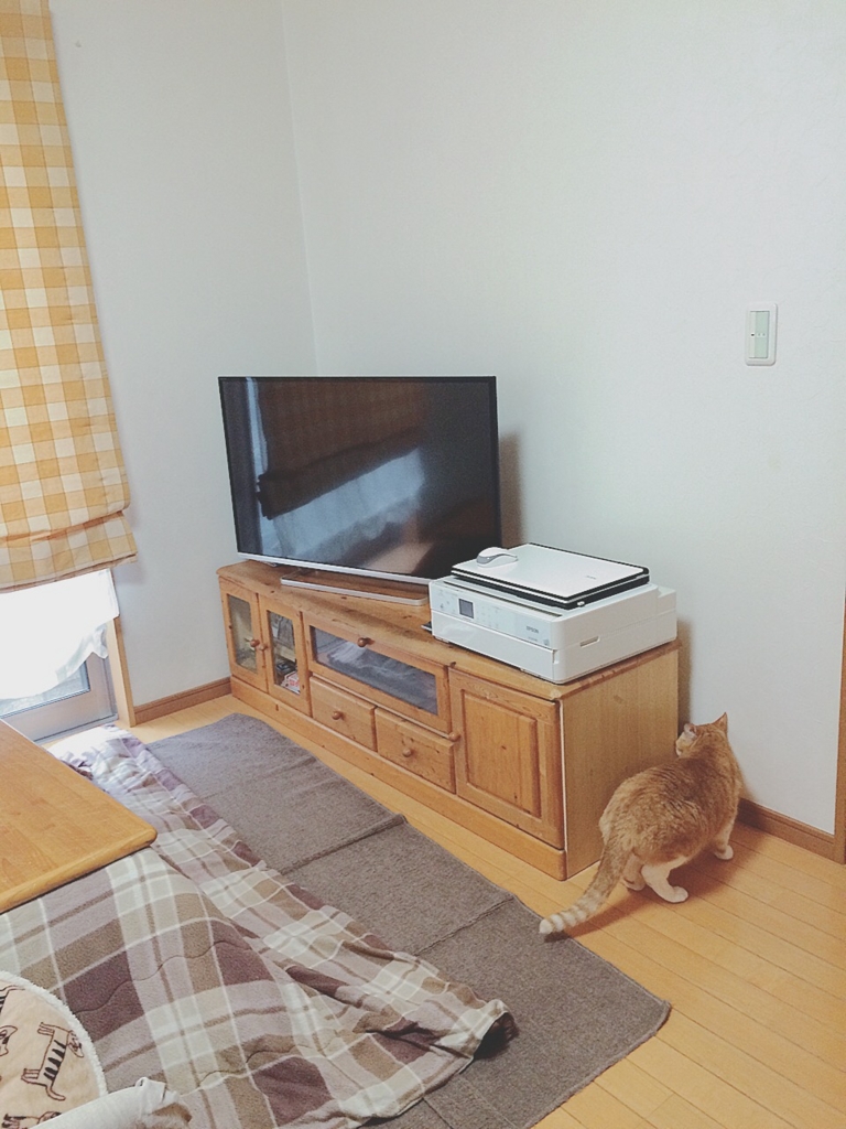 f:id:yukiko_tea:20160311182243j:plain f:id:yukiko_tea:20160311182243j:plain