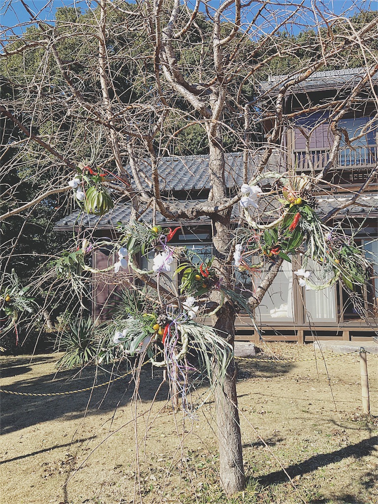 f:id:yukiko_tea:20161210051200j:image