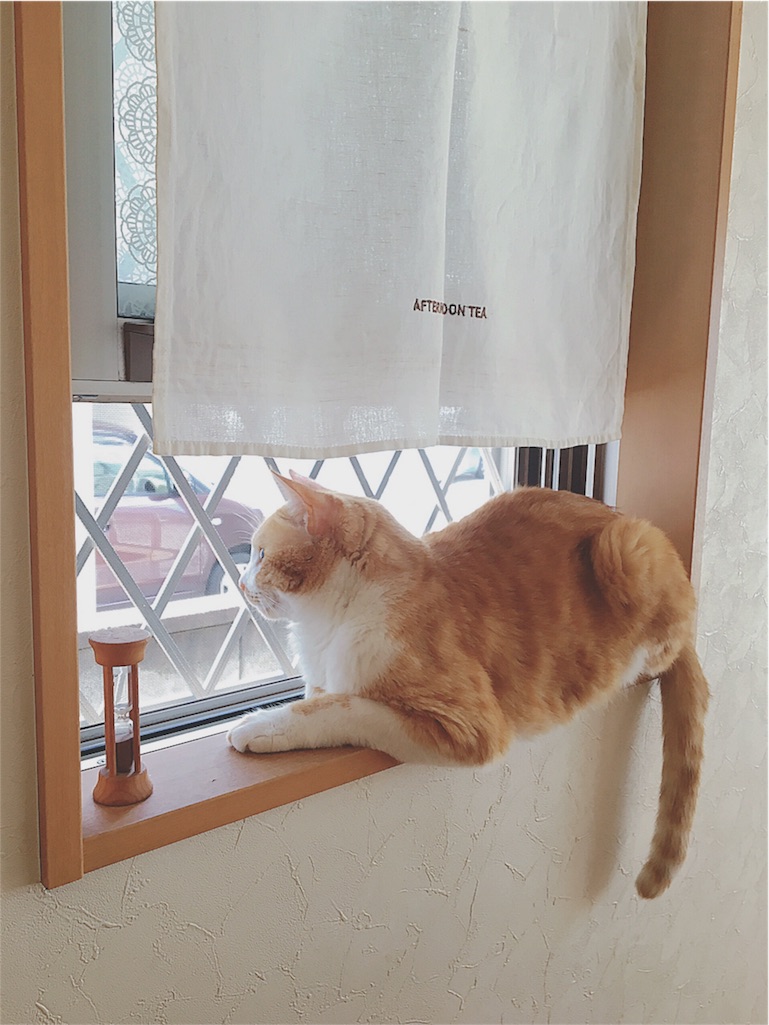 f:id:yukiko_tea:20160617140058j:image