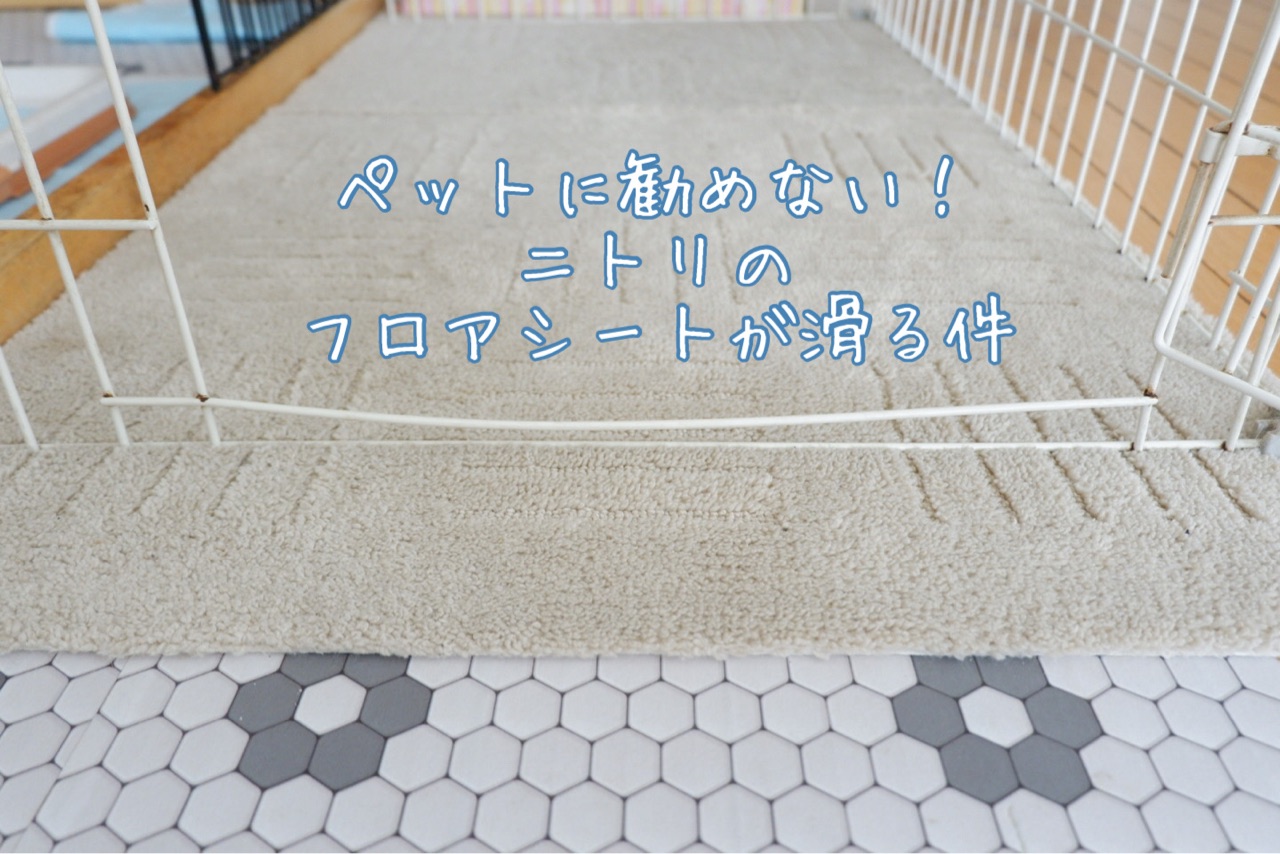 ペットに勧めない ニトリのフロアシートがすべる件 ゆとりあるシンプルな暮らし Powered By ライブドアブログ ペットに勧めない ニトリのフロアシートがすべる件 ゆとりあるシンプルな暮らし Powered By ライブドアブログ