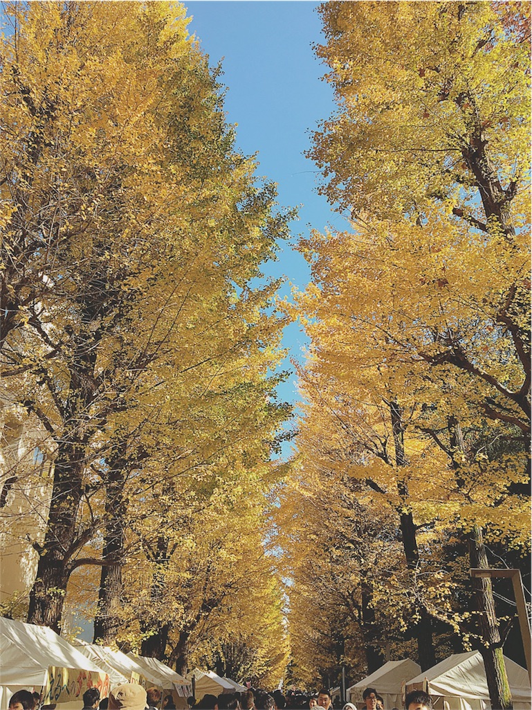 f:id:yukiko_tea:20161126050506j:image