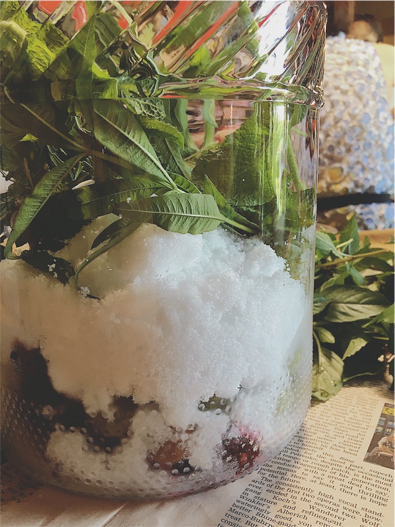 f:id:yukiko_tea:20160803161029j:image f:id:yukiko_tea:20160803161029j:image