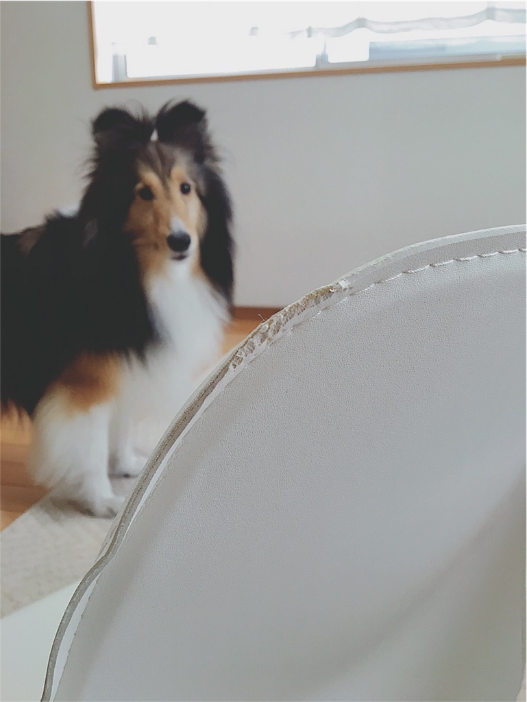 f:id:yukiko_tea:20160528101508j:image