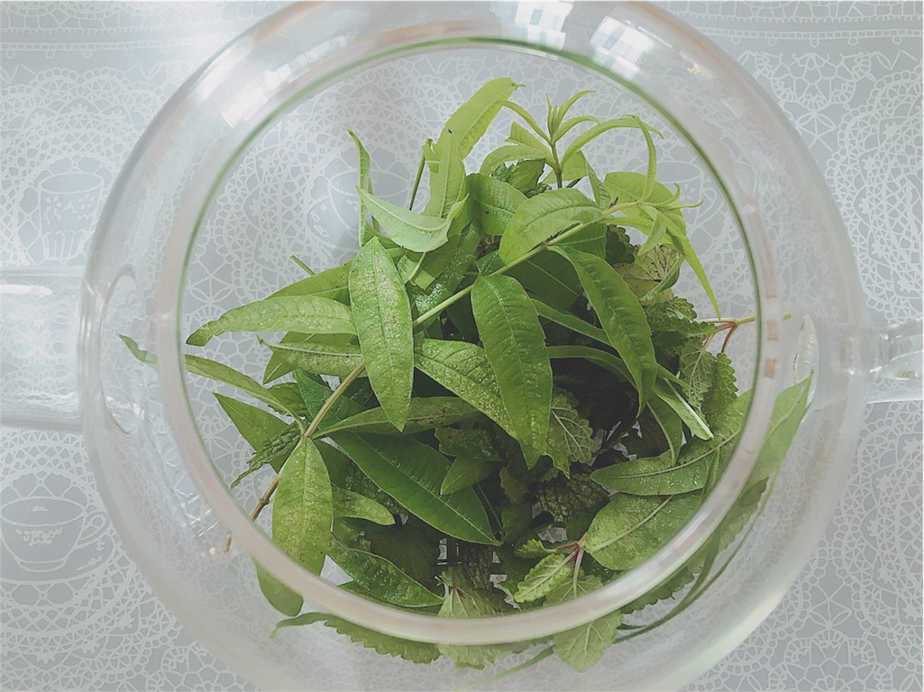 f:id:yukiko_tea:20160605121558j:image