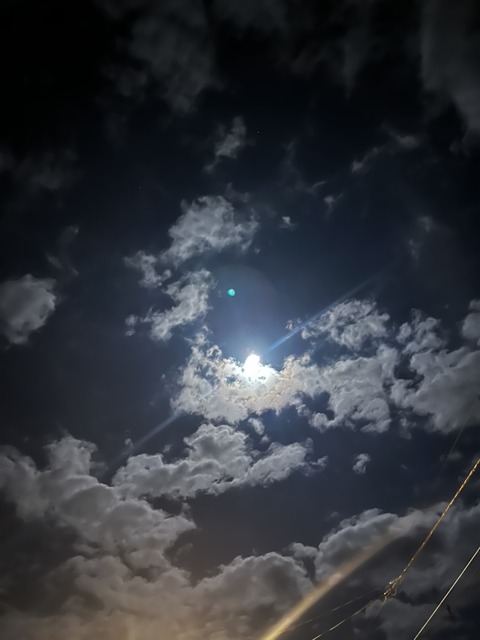 66A81D2B-CAA0-4F1F-BAC3-DF68E408FB67_1_105_c