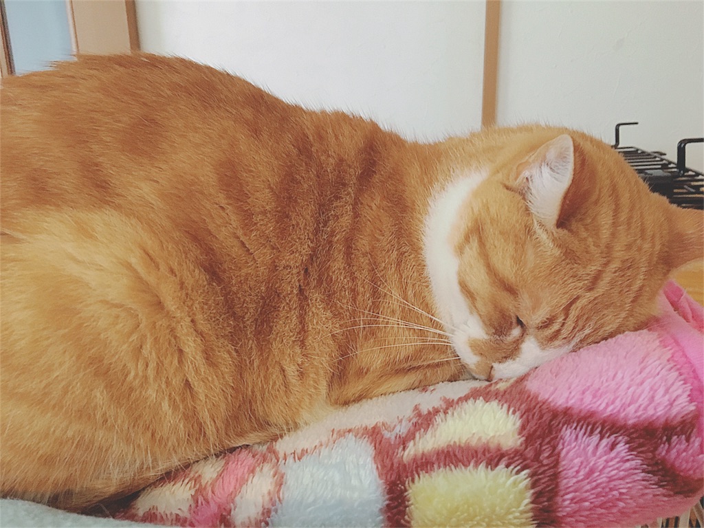 f:id:yukiko_tea:20161023125342j:image