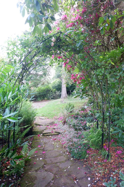 C8830FE4-028F-47ED-BDC4-ADD28E97B8F6_1_105_c