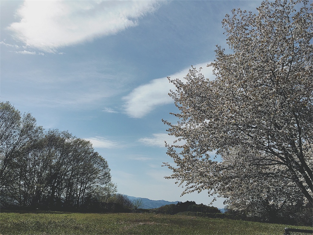 f:id:yukiko_tea:20170505094850j:image