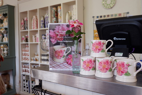 D0941874-5C2F-4C92-8944-A068B6DD2E15_1_105_c