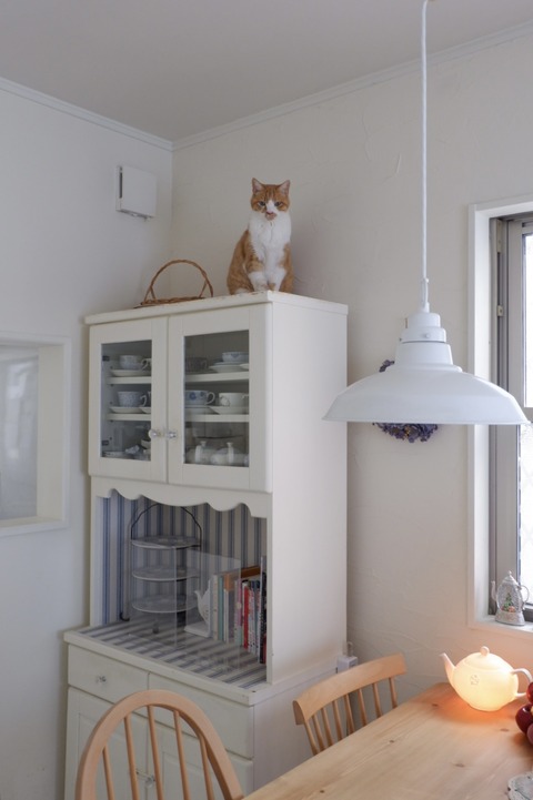 F267C0CE-653D-4237-9DA1-963D3AD04A7D_1_201_a