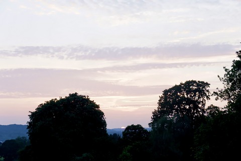 96DEF596-2A0D-47DB-B058-2470BDF9084E_1_201_a