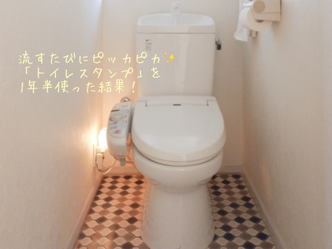 流すたびにピッカピカ！「トイレスタンプ」を１年半使った結果