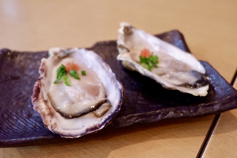 894643F4-27F9-4FC2-AC52-2725BBD1105C_1_201_a